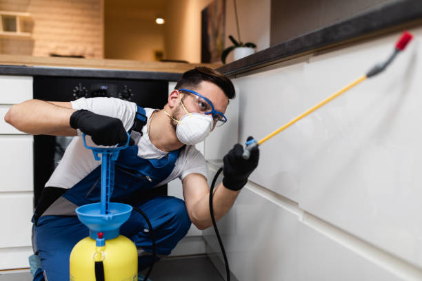 Best Bed Bug Extermination  in Channel Lake, IL