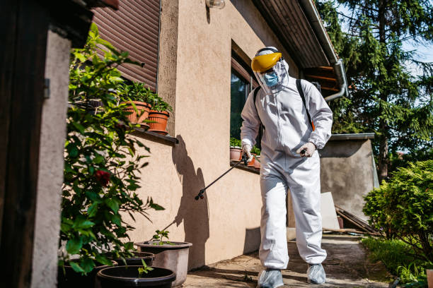 Best Residential Pest Control  in Channel Lake, IL