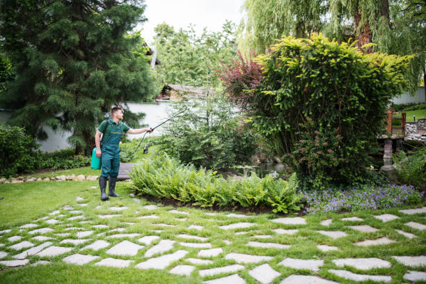 Pest Prevention Services in Channel Lake, IL