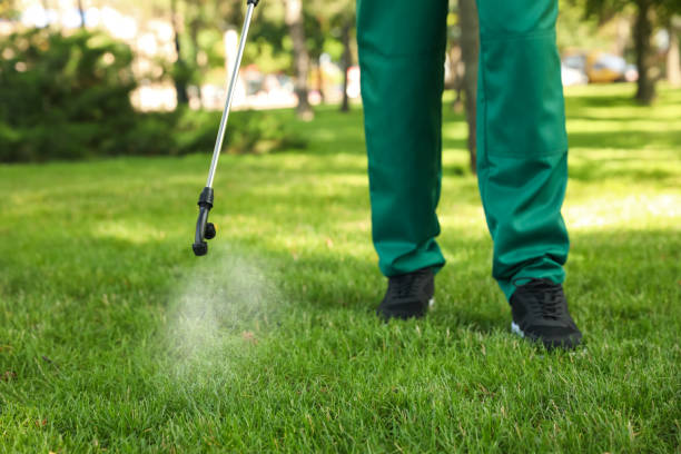 Best Cockroach Control Services  in Channel Lake, IL