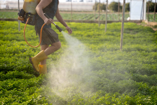 Best Affordable Pest Control Services  in Channel Lake, IL