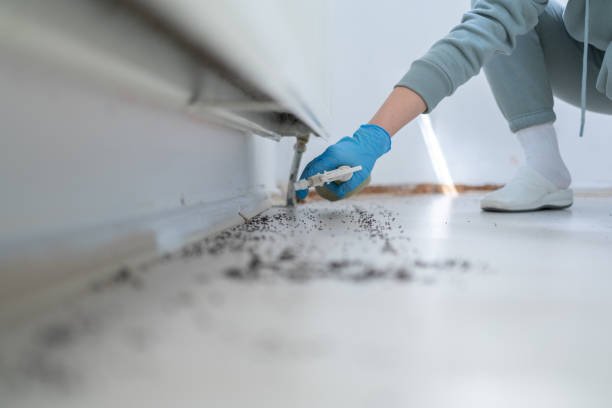 Best Pest Removal Services  in Channel Lake, IL