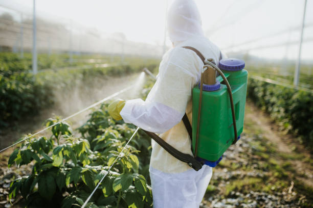 Best Pest Control Near Me  in Channel Lake, IL